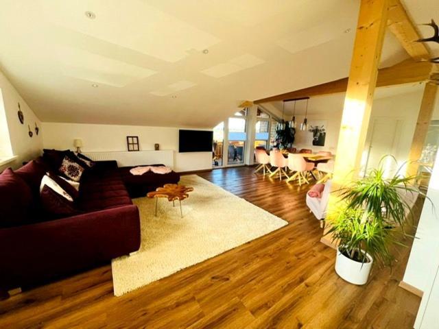 23 Neu Erbaute Ferienwohnung Mit Schloss- Und Panoramablick 哈尔伯莱赫 外观 照片